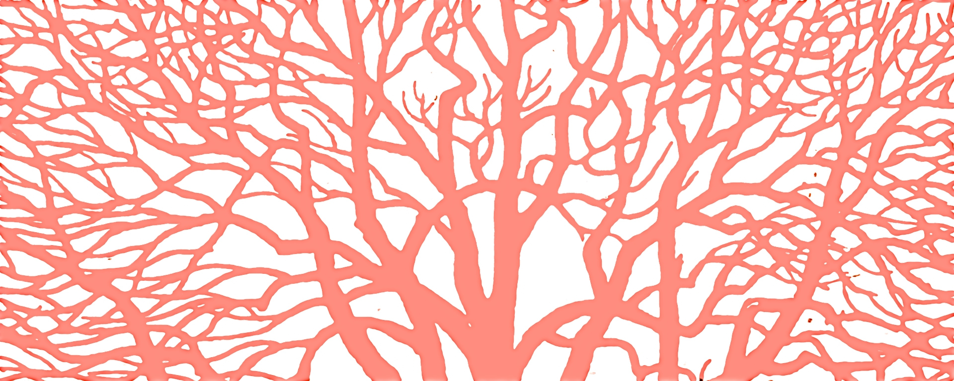 DAC banner image katy dye